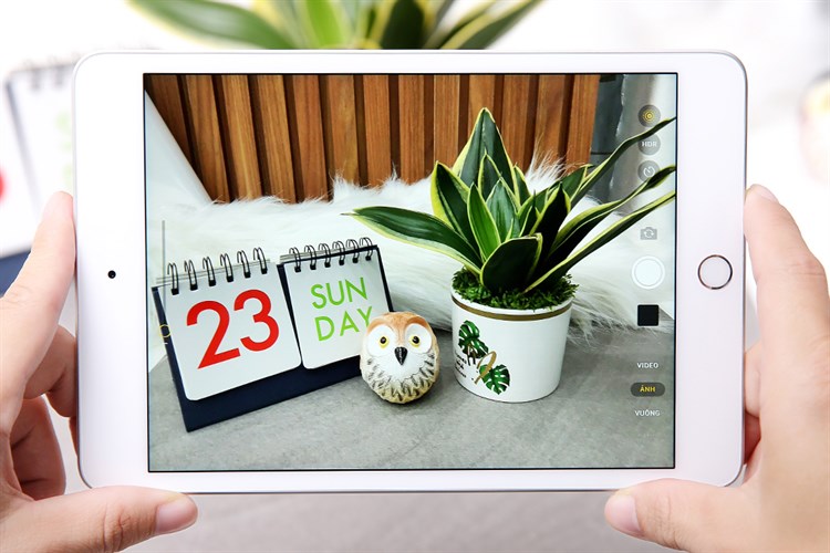 Máy tính bảng iPad mini 7.9 inch Wifi 64GB (2019) Màu Bạc