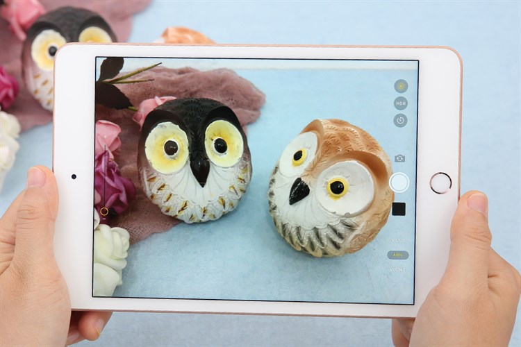 Máy tính bảng iPad mini 7.9 inch Wifi 64GB (2019) Màu Vàng đồng