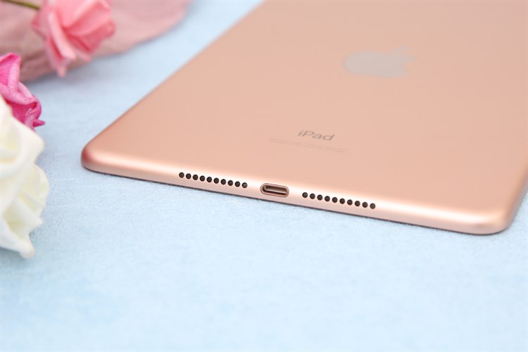 Máy tính bảng iPad mini 7.9 inch Wifi 64GB (2019) Màu Vàng đồng