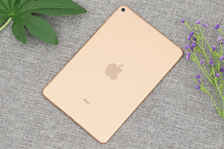 Máy tính bảng iPad mini 7.9 inch Wifi Cellular 64GB (2019) Màu Vàng đồng