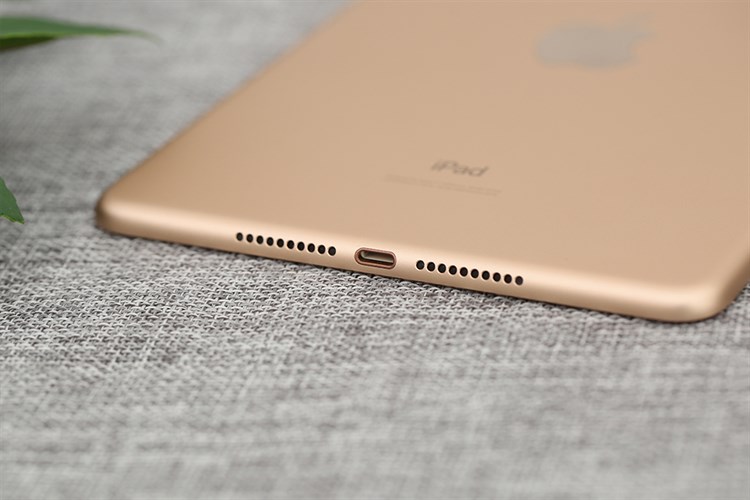 Máy tính bảng iPad mini 7.9 inch Wifi Cellular 64GB (2019) Màu Vàng đồng