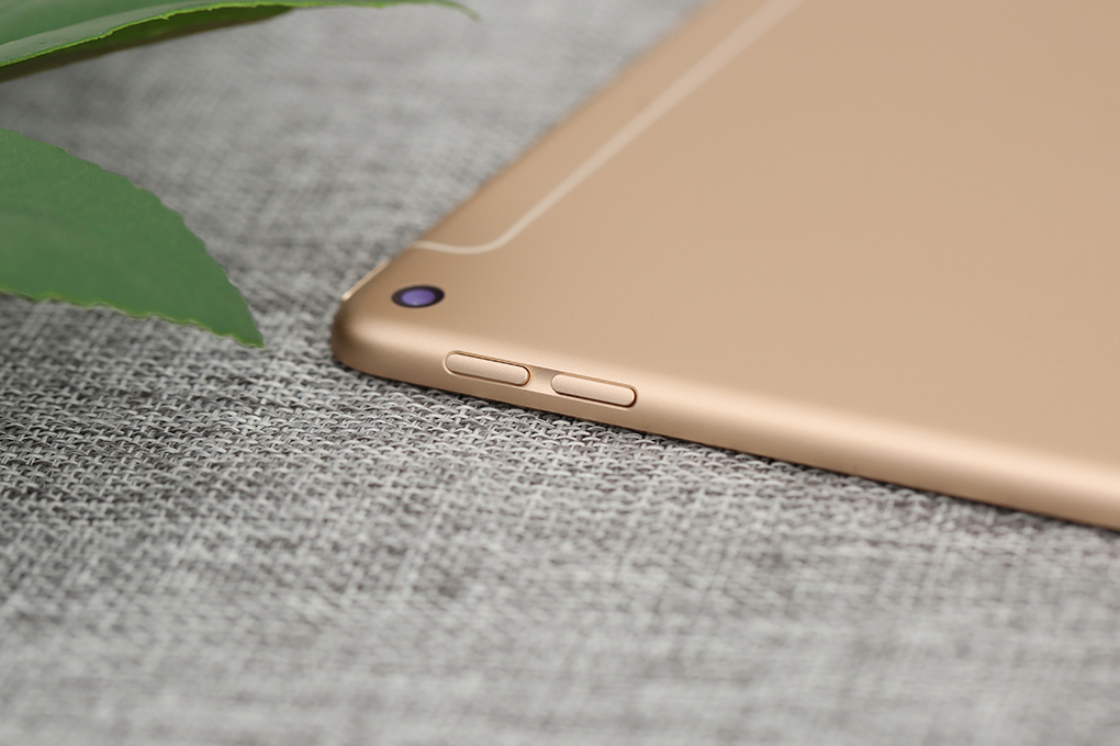 Máy tính bảng iPad mini 7.9 inch Wifi Cellular 64GB (2019) Màu Vàng đồng