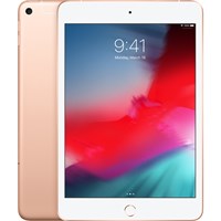 iPad Mini 7.9 inch