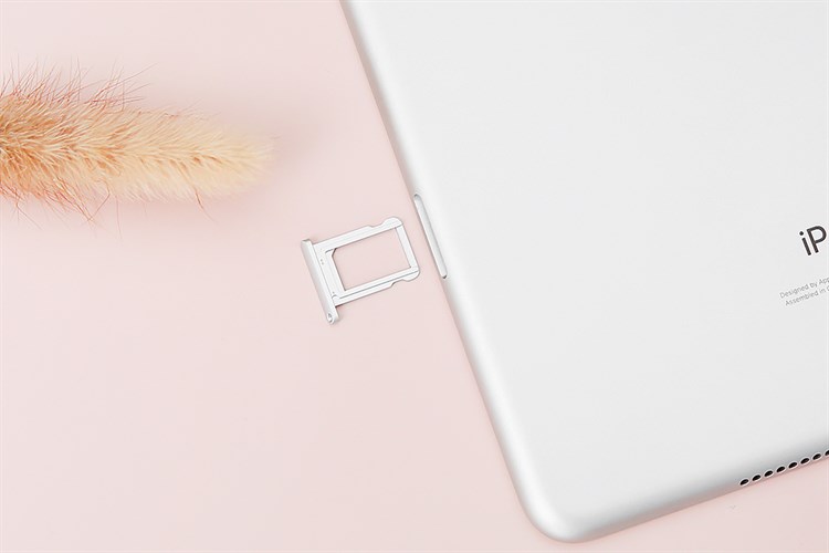 Máy tính bảng iPad mini 7.9 inch Wifi Cellular 64GB (2019) Màu Bạc