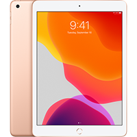Máy tính bảng iPad 10.2 inch Wifi 32GB (2019) Màu Vàng đồng
