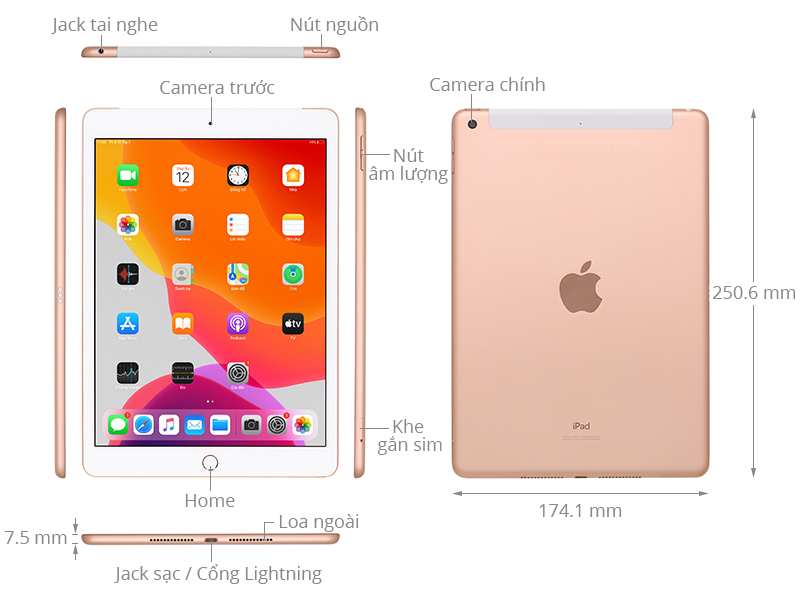 iPad 10.2 inch Wifi Cellular 32GB (2019)