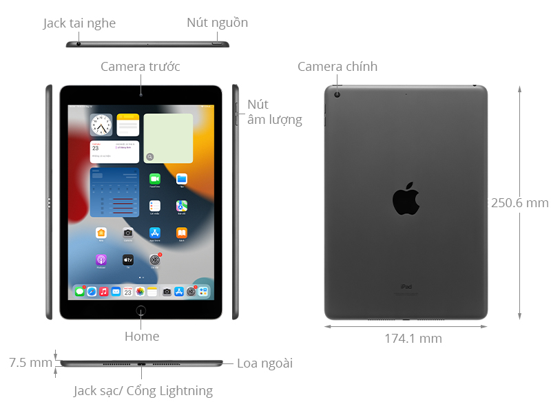 iPad 9: iPad 9 cung cấp những tính năng và công nghệ mới đáng kinh ngạc. Màn hình lớn, độ phân giải cao cùng với các ứng dụng đa dạng mang lại trải nghiệm tuyệt vời cho bạn khi check mail, lướt web và giải trí.