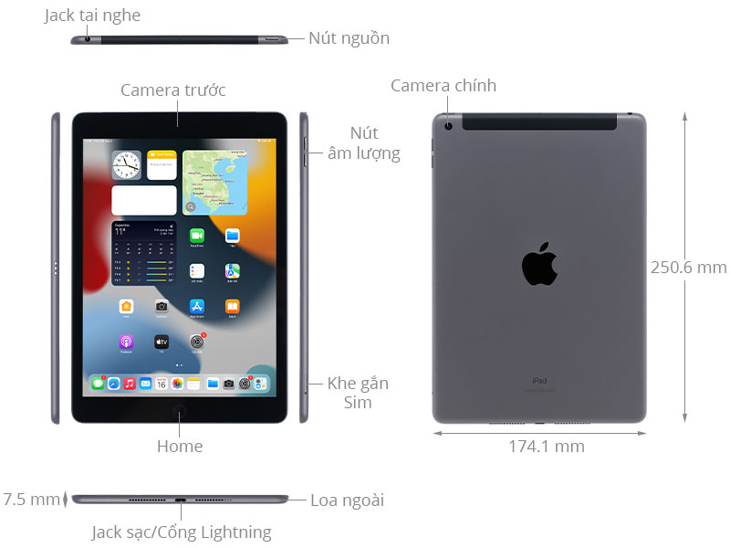 PC/タブレット タブレット iPad 9 WiFi Cellular 256GB - Giá rẻ, có trả góp