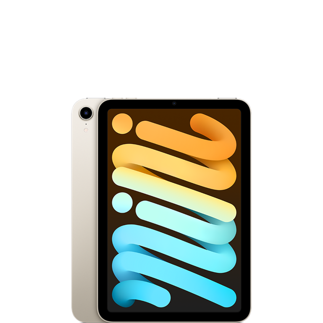 iPad mini 6 WiFi 256GB