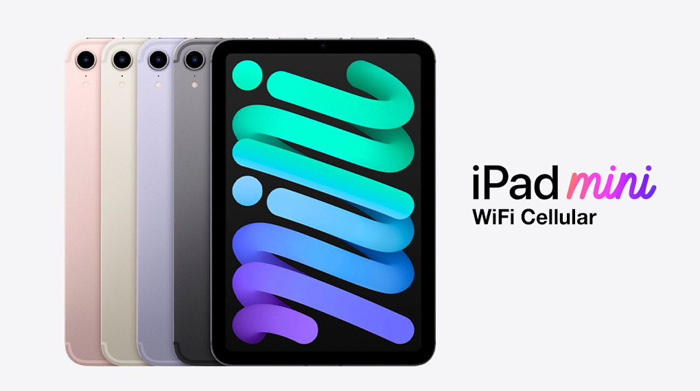 Có 4 phiên bản màu sắc - iPad mini 6 WiFi Cellular 64GB 