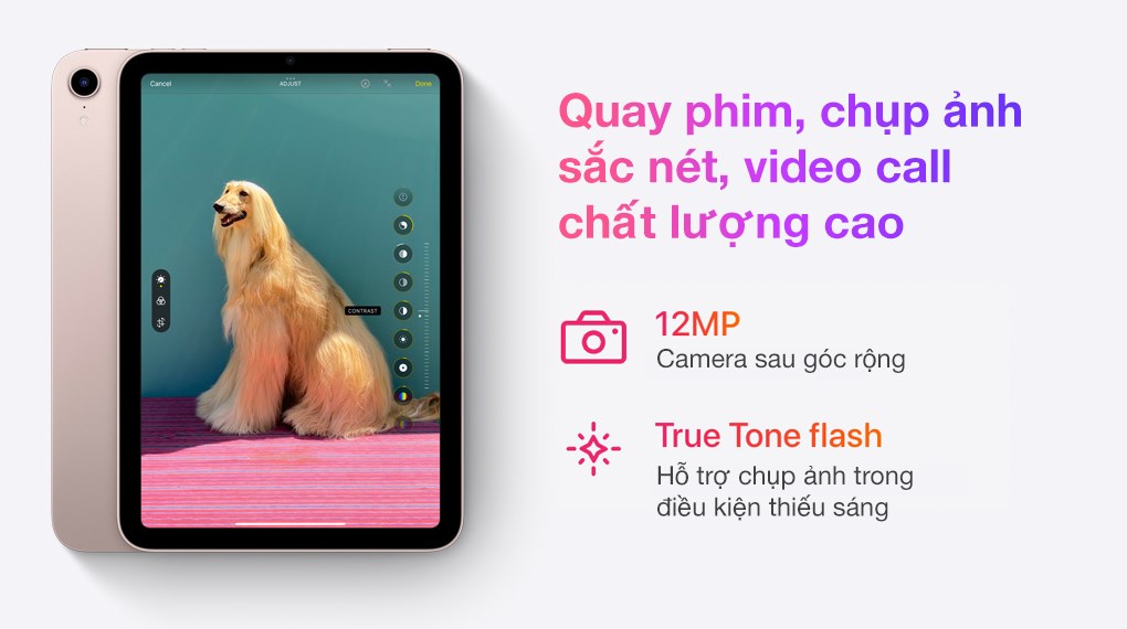 Máy tính bảng iPad mini 6 WiFi Cellular 256GB