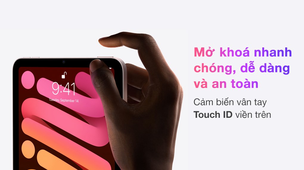 Máy tính bảng iPad mini 6 WiFi Cellular 256GB