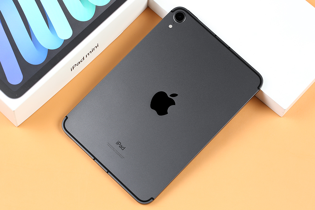 iPad mini 6 WiFi Cellular 256GB - 21
