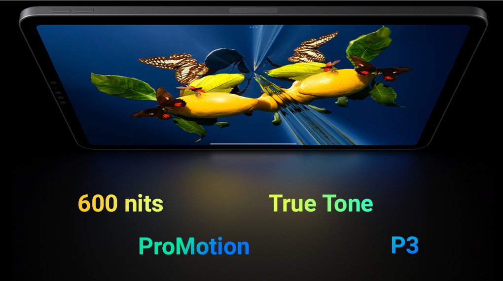 iPad Pro M2 11 inch WiFi 1TB - Màn hình