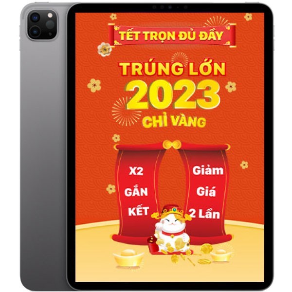 iPad Pro M2 11 inch WiFi Cellular 128GB