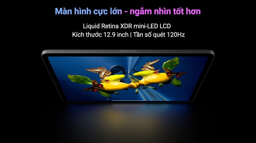 Máy tính bảng iPad Pro M2 12.9 inch WiFi Cellular 512GB