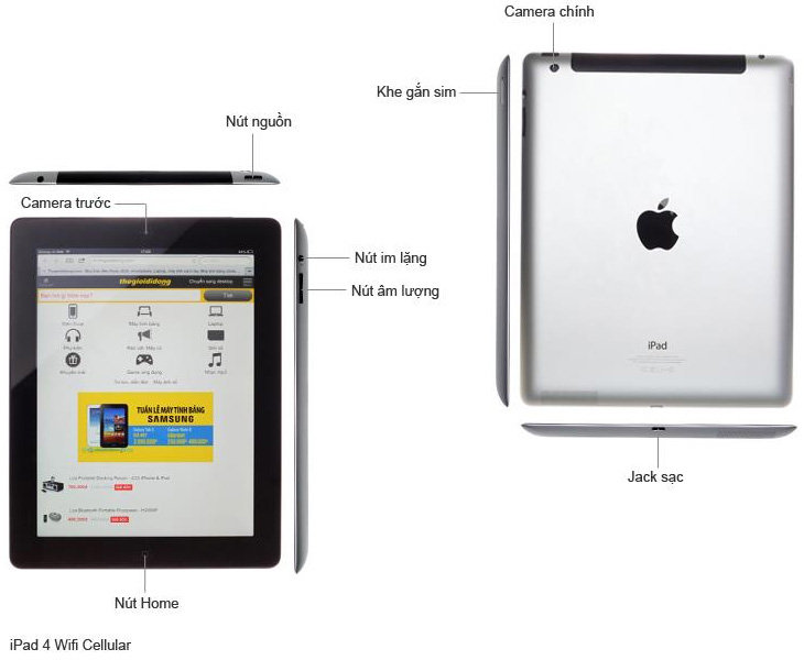 Apple ipad 4 wi fi. IPAD 4 характеристики. Какой айпад лучше Cellular WIFI или WIFI. 1tb Wi-Fi+Cellular Silver что обозначает.