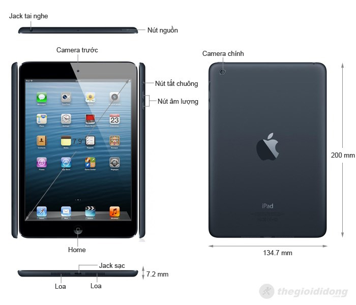 iPad Mini Wifi Cellular 64Gb