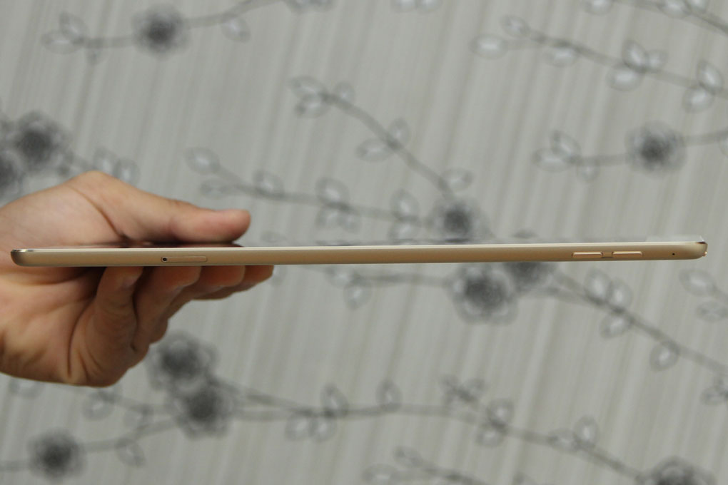 iPad Air 2 Cellular 64GB - 12