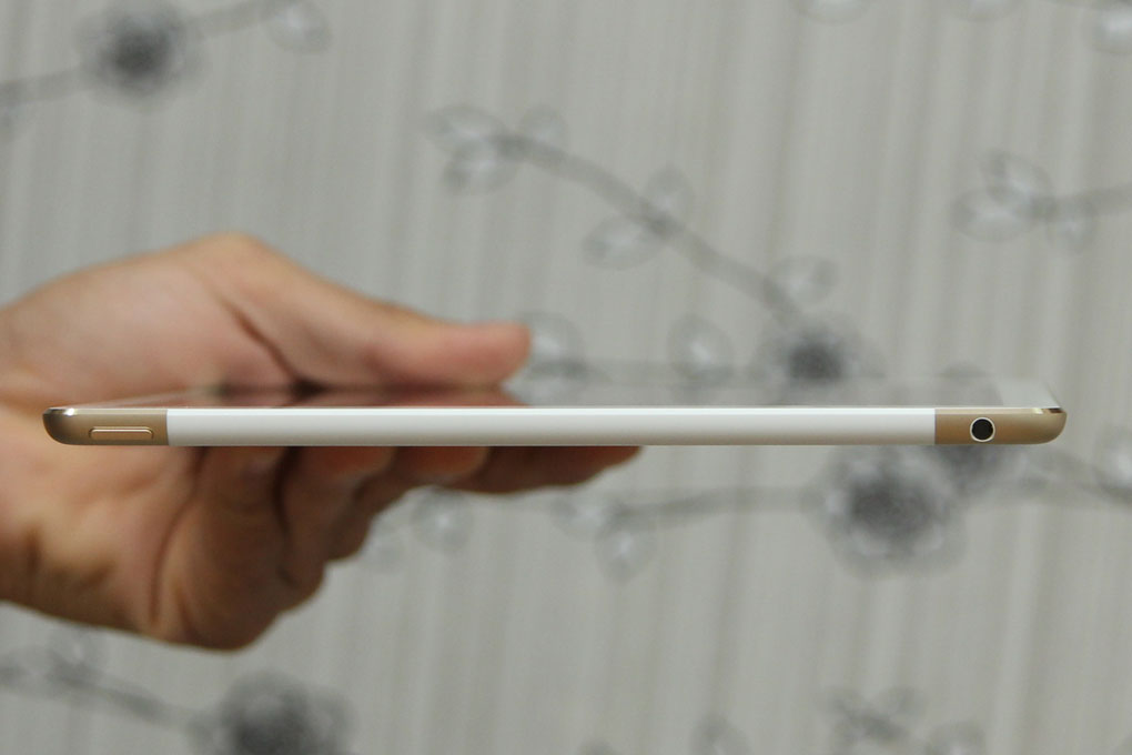 iPad Air 2 Cellular 64GB - 13
