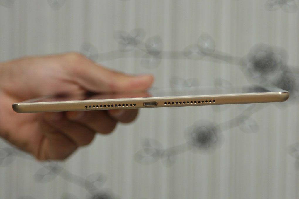 iPad Air 2 Cellular 64GB - 15