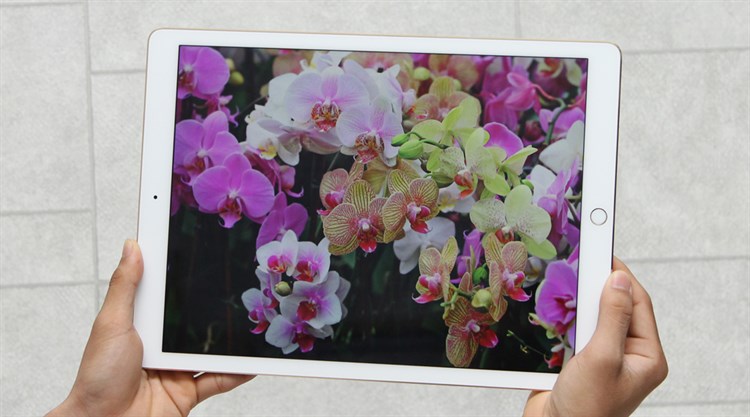 Máy tính bảng iPad Pro Wifi 128GB