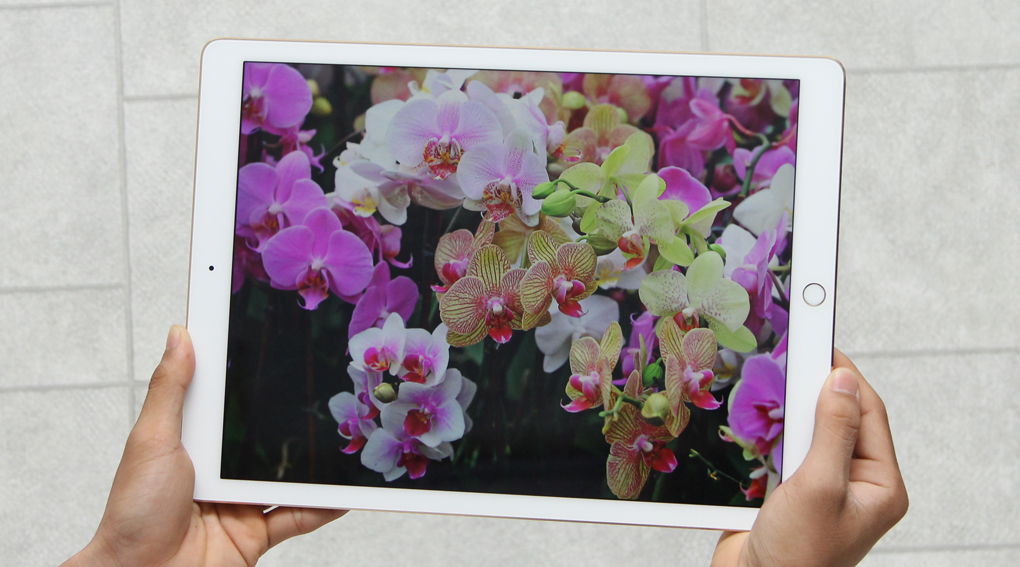 Máy tính bảng iPad Pro Wifi 128GB