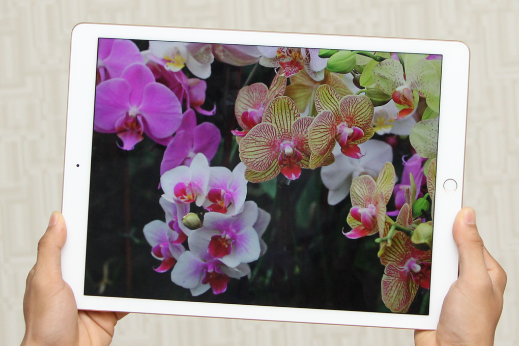 Máy tính bảng iPad Pro Wifi 128GB
