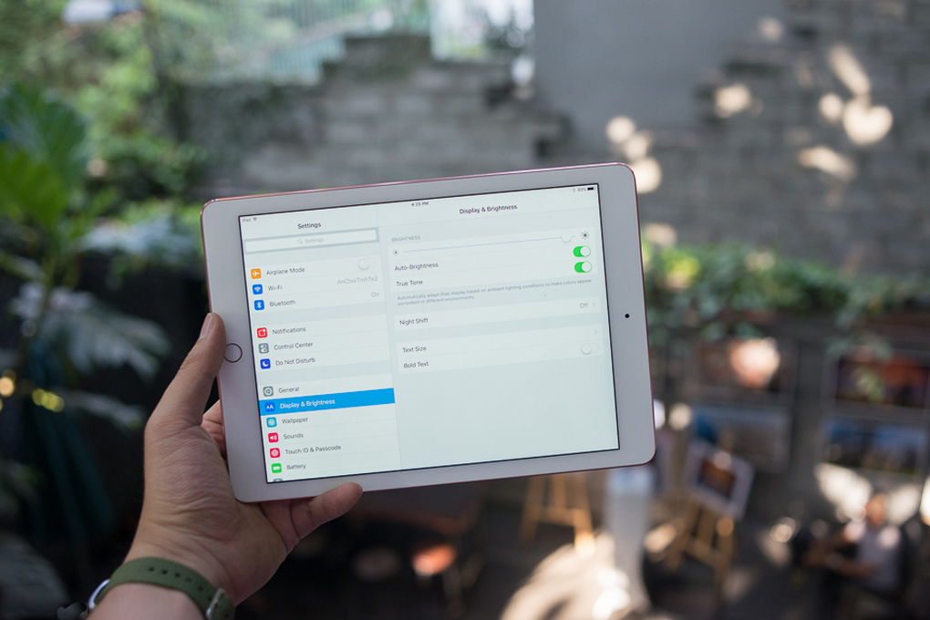 iPad Pro 9.7 inch Wifi 128GB - 2