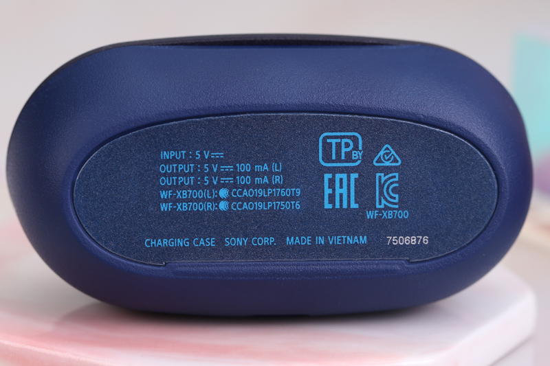 Tai nghe Bluetooth Sony Extra Bass True Wireless WF-XB700 Màu Xanh Dương