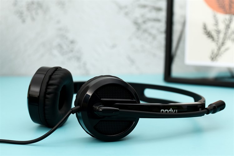 Tai nghe Chụp Tai Rapoo H100 Màu Đen