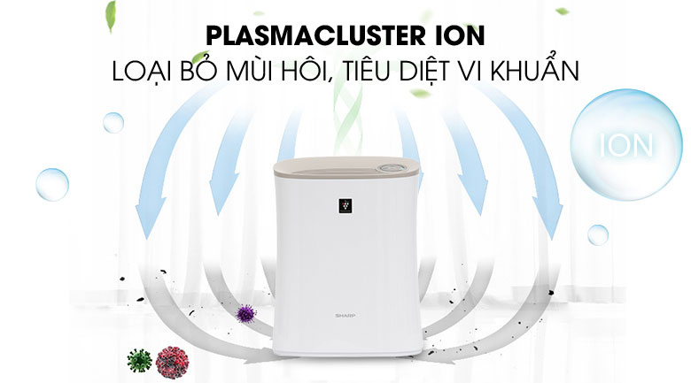 Máy lọc không khí Sharp FP-F30E-C