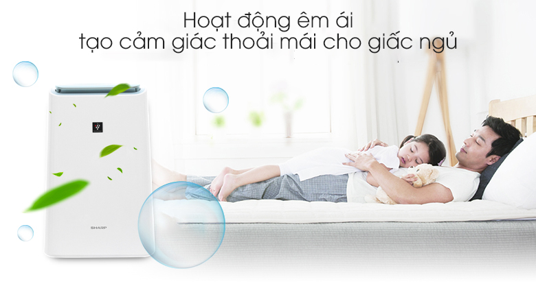 Máy lọc không khí Sharp DW-E16FA-W 190W