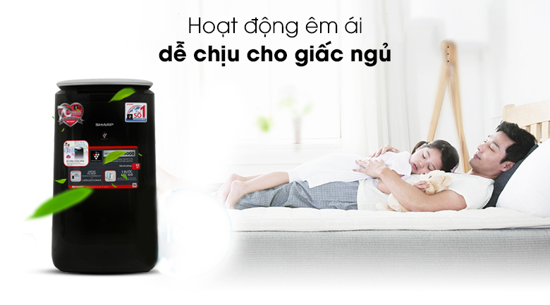 Máy lọc không khí Sharp FP-J80EV-H 48W - 14