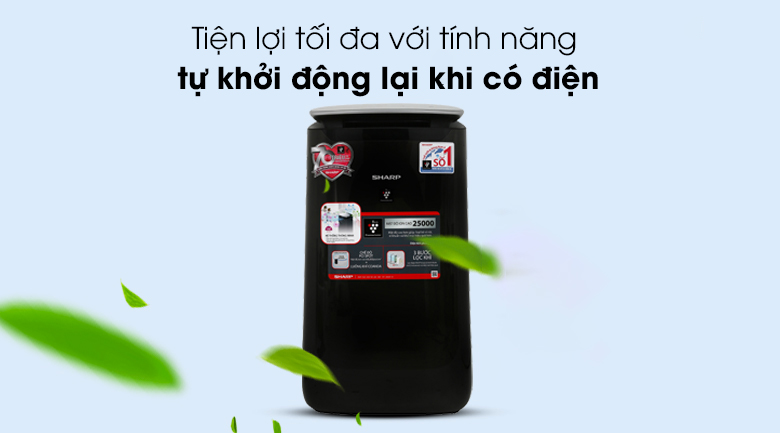 Máy lọc không khí Sharp FP-J80EV-H 48W - 22
