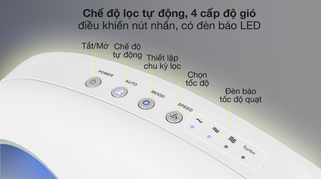 Máy lọc không khí Coway AP-1009CH