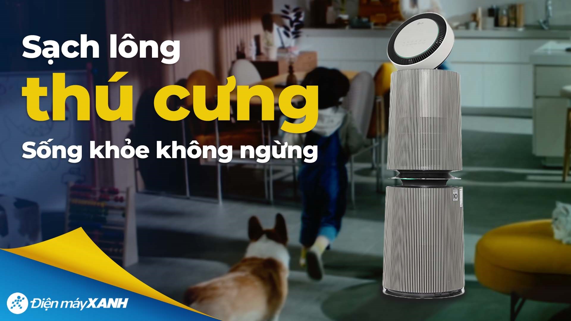 Máy lọc không khí LG PuriCare 360 Alpha Double AS10GDBY0.ABAE 72W