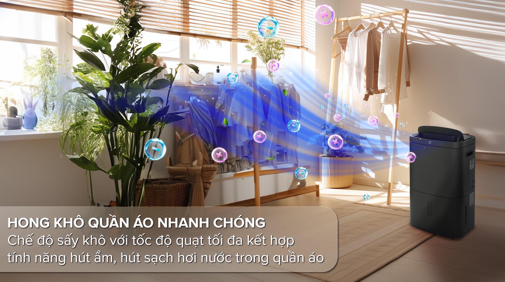 Máy hút ẩm Electrolux EDH12TRBD2