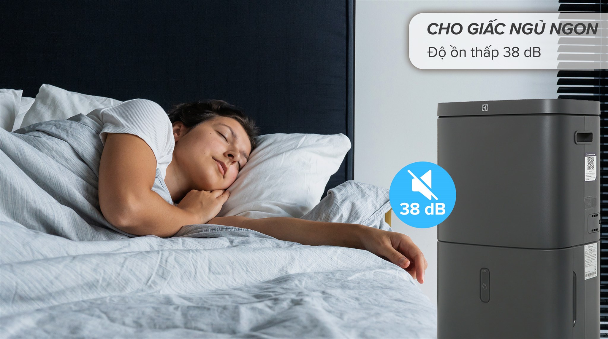 Máy hút ẩm Electrolux EDH14TRBD2