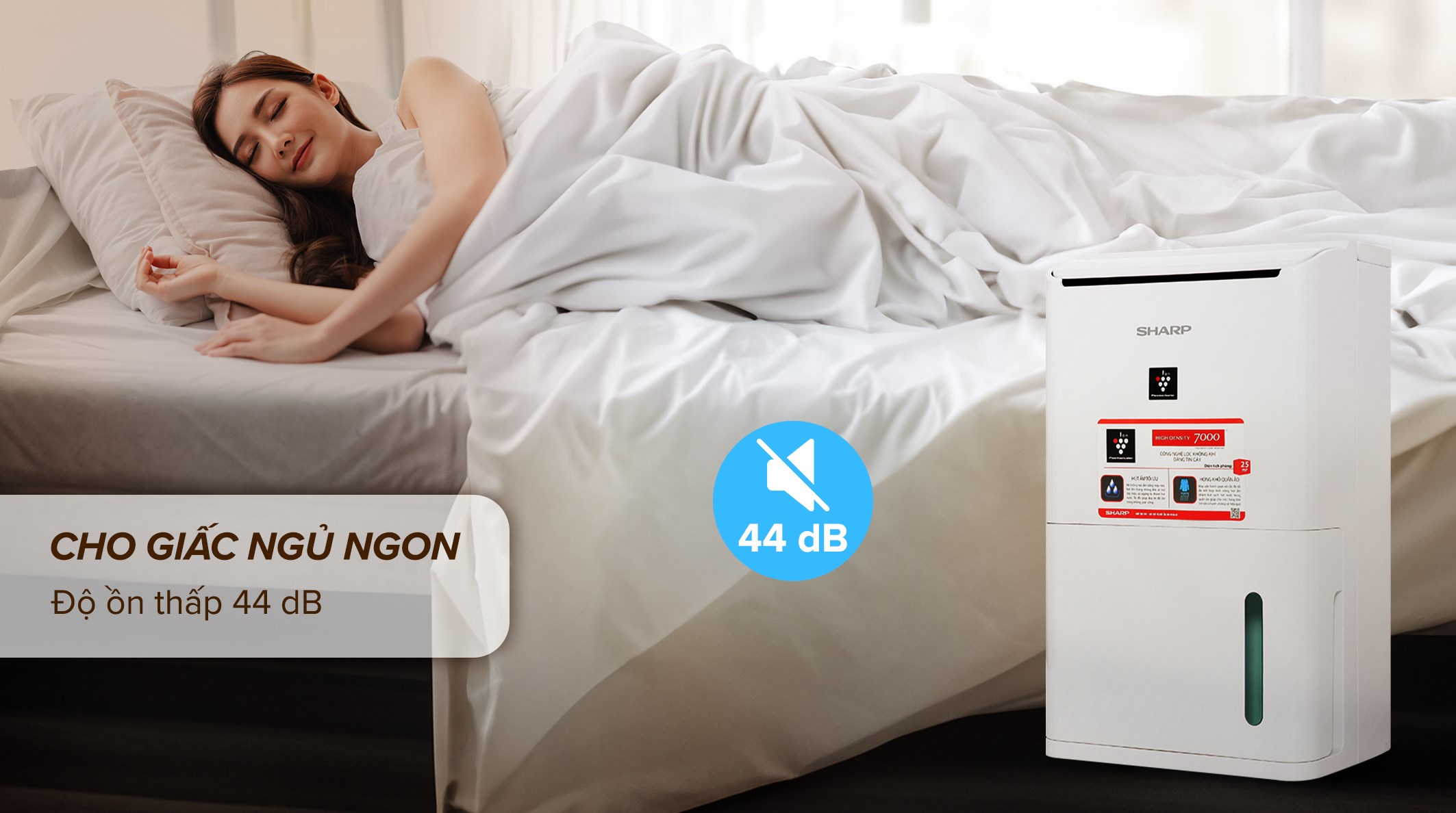 Máy hút ẩm Sharp DW-D12A-W