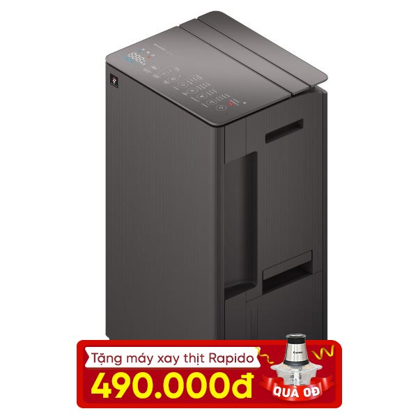 Máy hút ẩm Sharp DW-T30FV-H