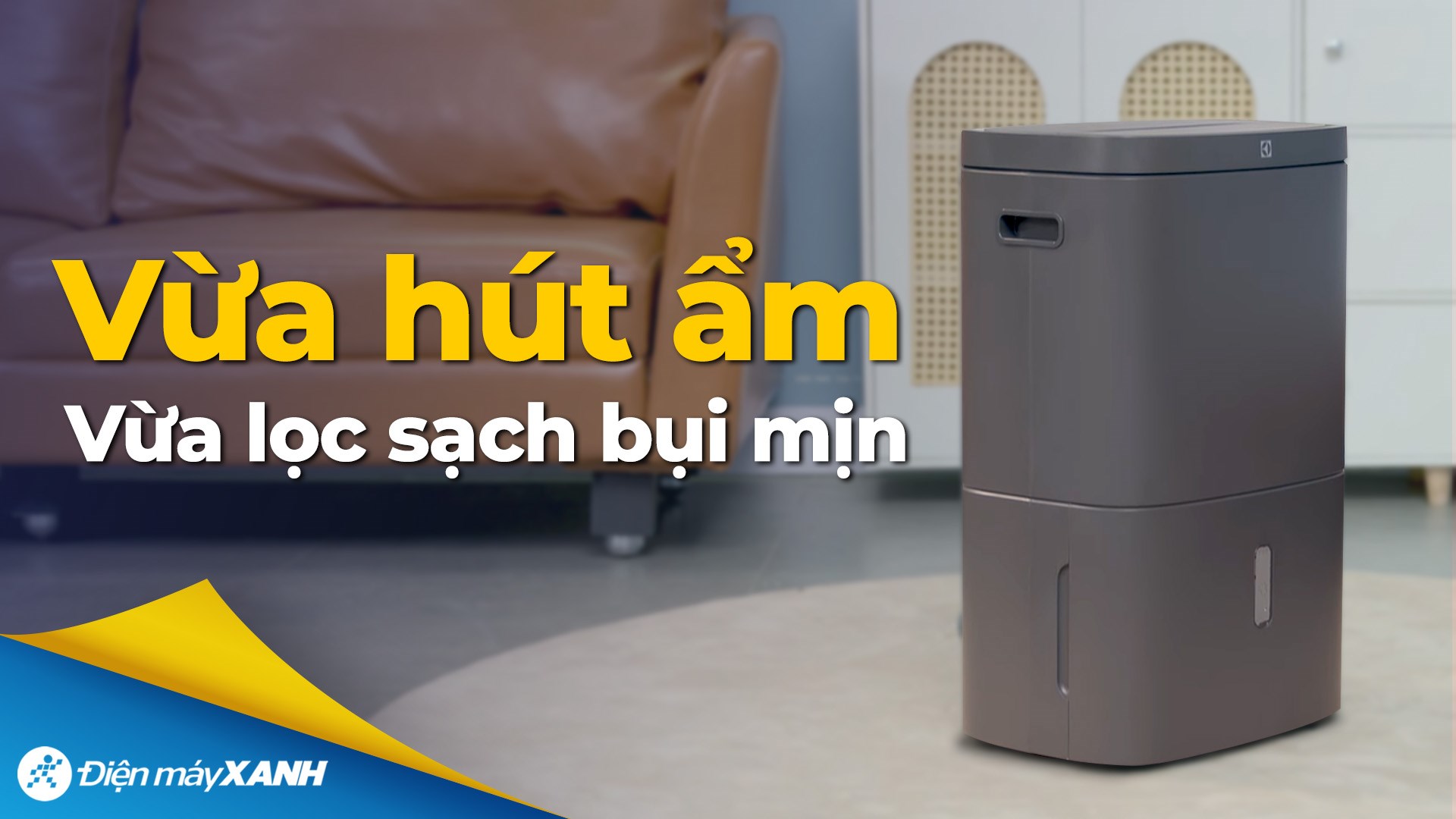 Máy hút ẩm kết hợp lọc không khí Electrolux EDH16TRBD3