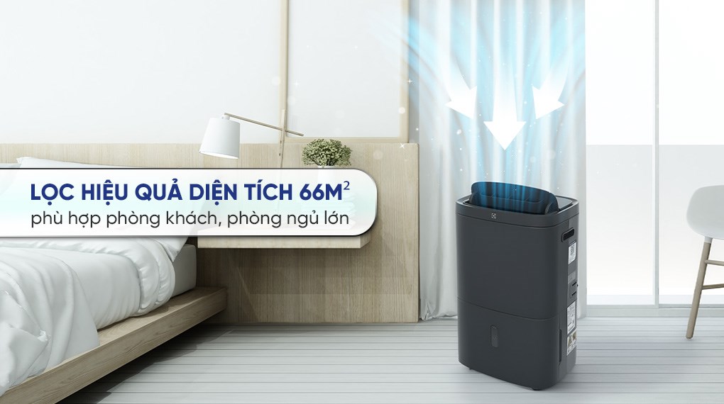 Máy hút ẩm kết hợp lọc không khí Electrolux EDH16TRBD3