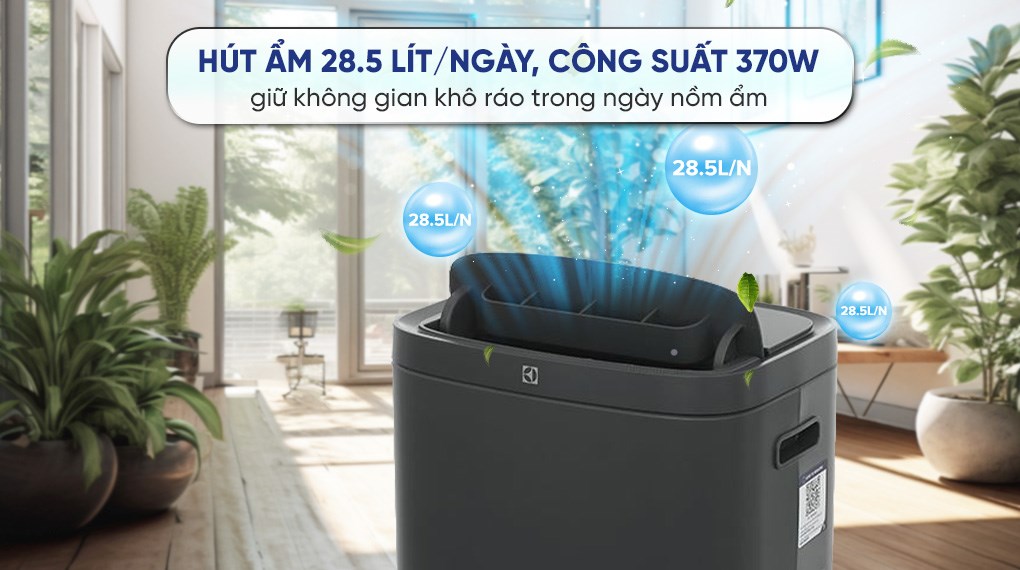 Máy hút ẩm kết hợp lọc không khí Electrolux EDH16TRBD3