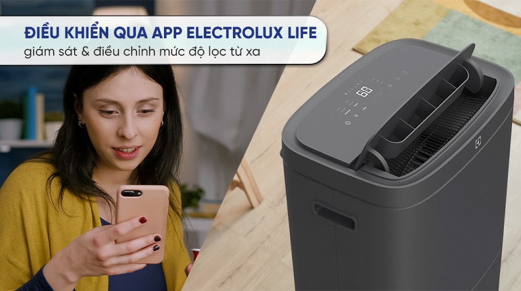 Máy hút ẩm kết hợp lọc không khí Electrolux EDH16TRBD3
