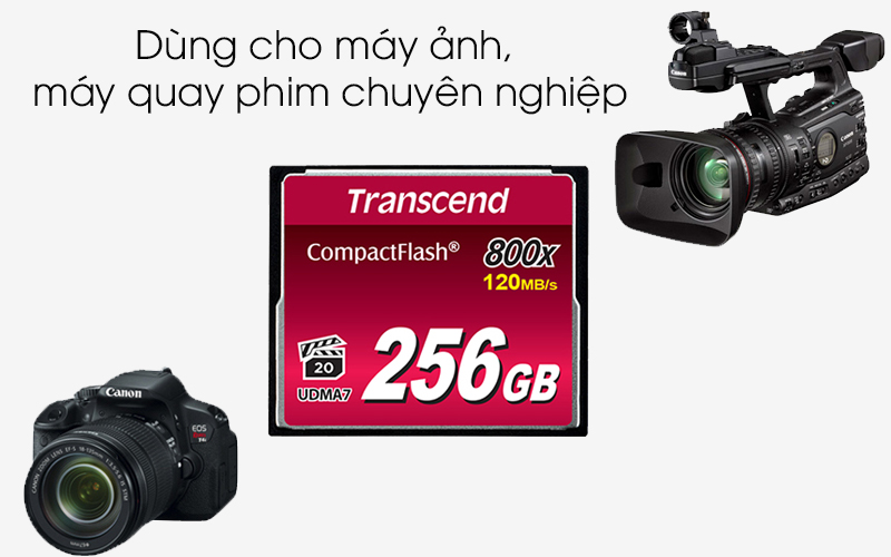 Thẻ nhớ CF 800x Transcend - Thẻ tương thích với các máy ảnh, máy quay phim chuyên nghiệp Thẻ nhớ CF 800x Transcend - Thẻ tương thích với các máy ảnh, máy quay phim chuyên nghiệp