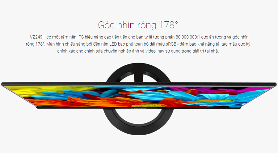 Màn hình Asus Full HD 23.8 inch VZ249HE