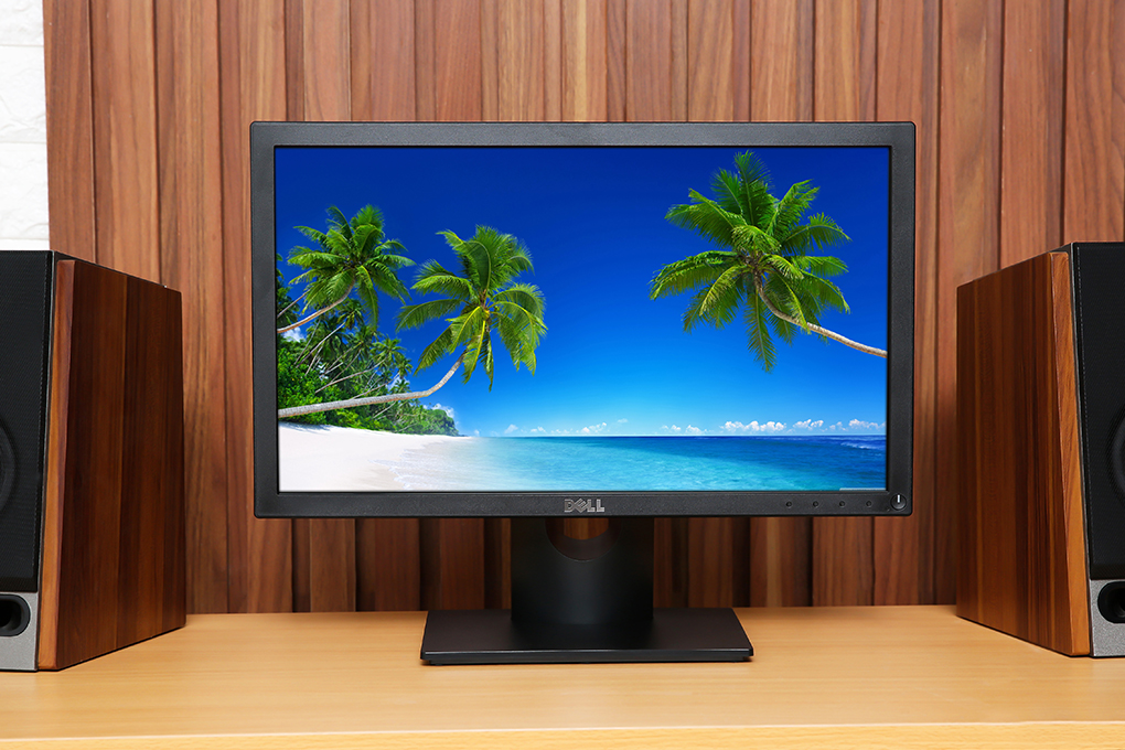 Dell LCD LED 18.5 inch HD (E1916H) - 9