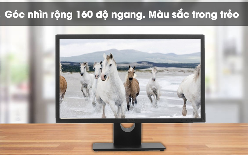 LCD Dell 21.5 inch Full HD (E2216H)