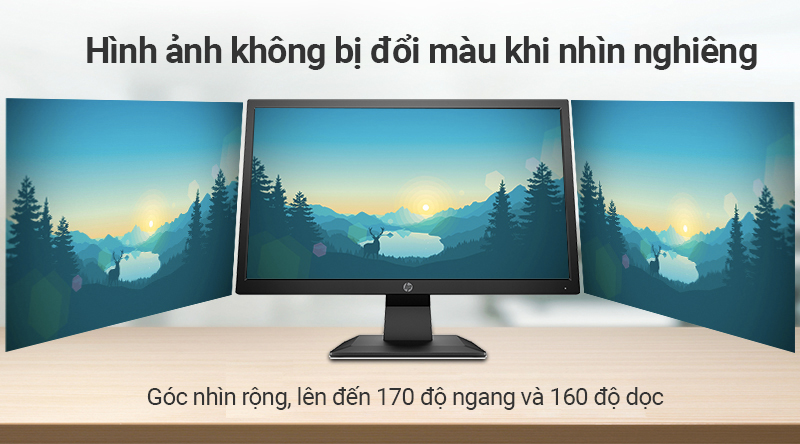 LCD HP P204 19.5 inch HD+ (5RD65AA)